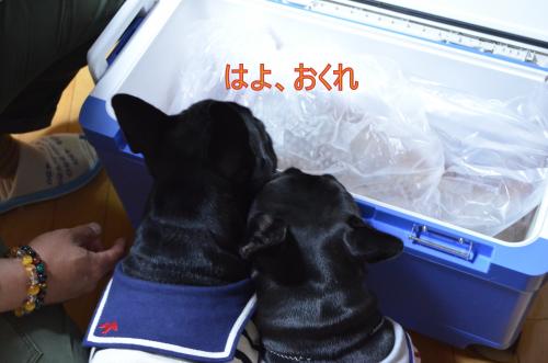 縺ッ繧医¥繧契convert_20130509214012