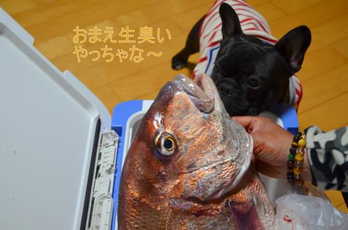 逕溯・縺Юconvert_20130509214240