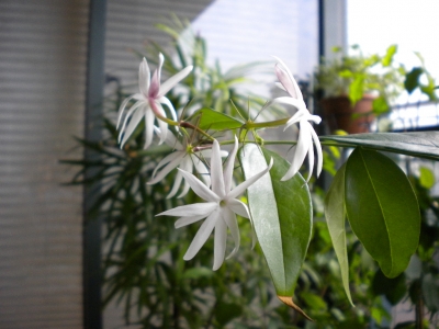 DSCN0876.jpg