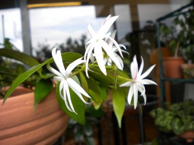 DSCN0879.jpg