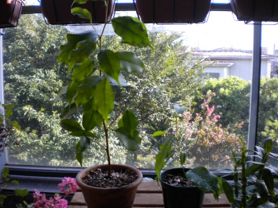 DSCN1093.jpg