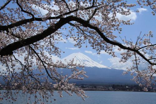 IMG_1636_convert_20120425115443.jpg