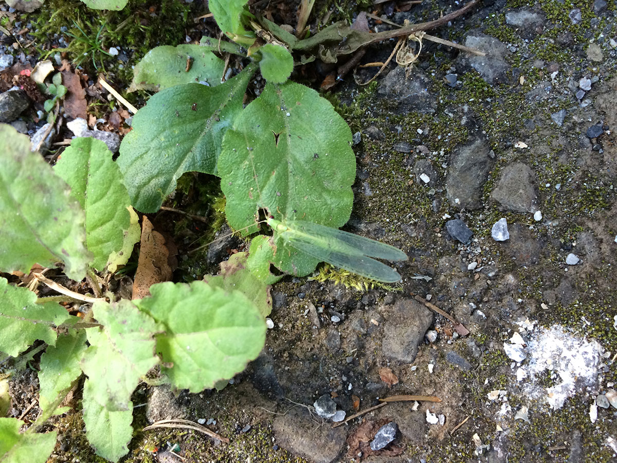 20140919_2.jpg