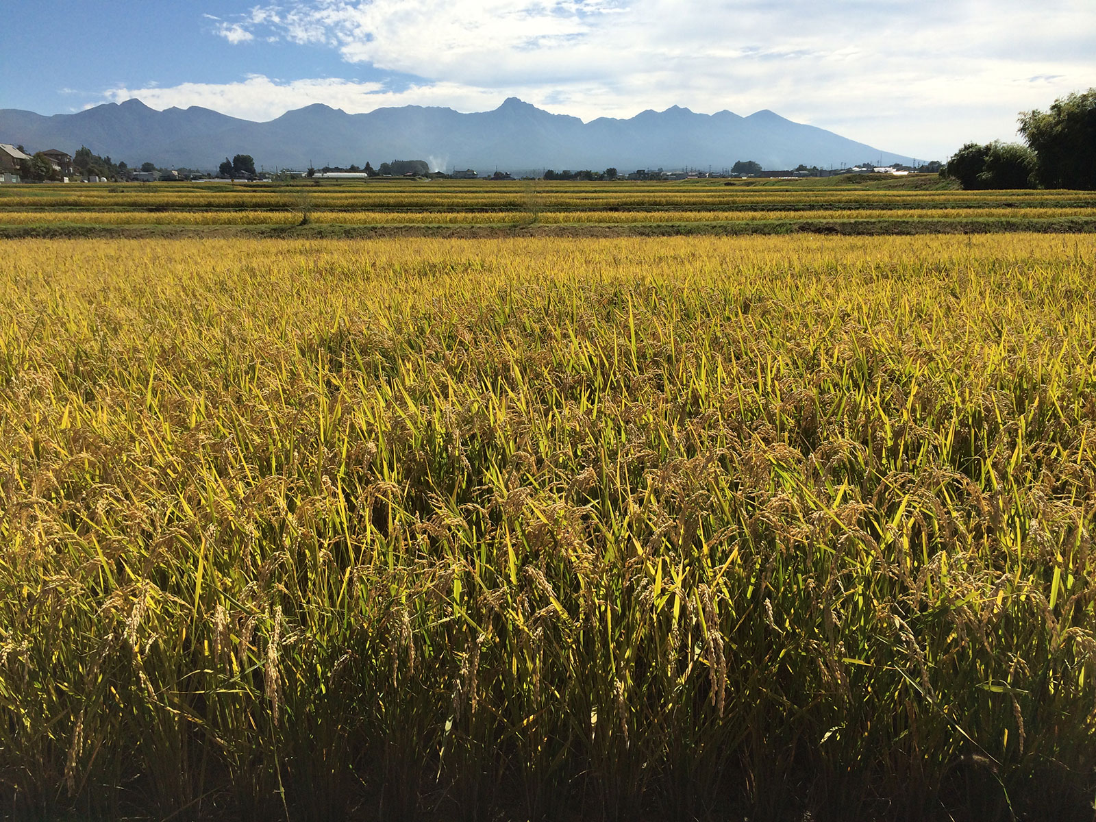 20140919_4.jpg