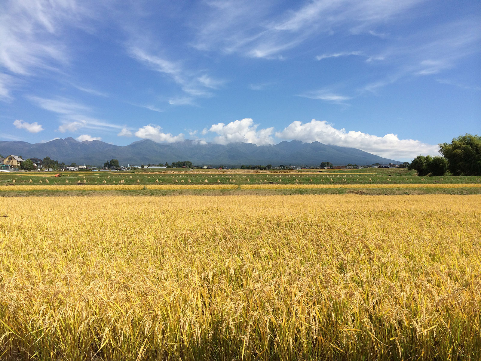 20140926_0.jpg
