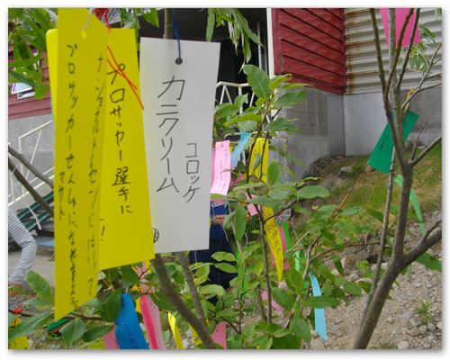 短ざく