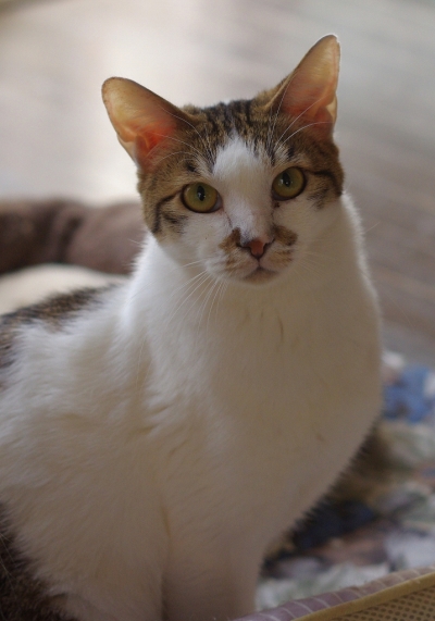 K52_0790.jpg