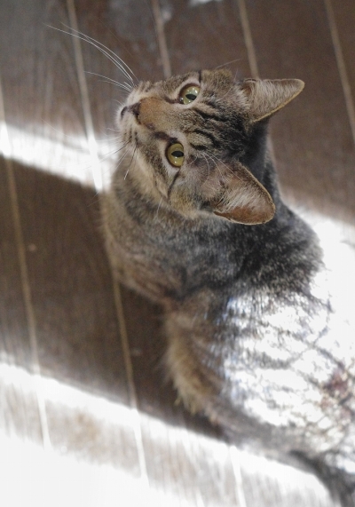 K52_0816.jpg