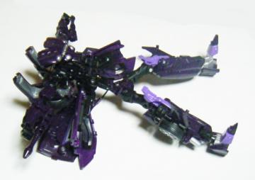 skw6.jpg
