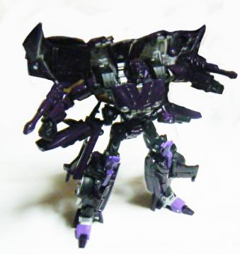 skw7.jpg