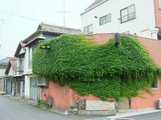 2005_0623_105542AA.jpg