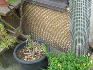 2006_0309_131639AA.jpg