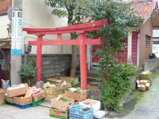 2006_0309_133741AA.jpg