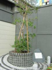 2006_0831_071236AA.jpg