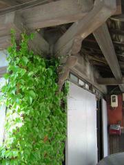 2007_0510_140912AA.jpg