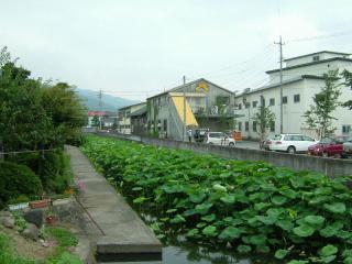 2007_0726_115532AA.jpg
