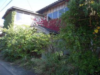 2010_1016_150353AA.jpg