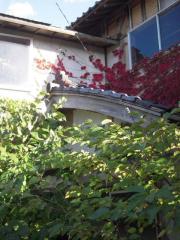2010_1016_150638AA.jpg