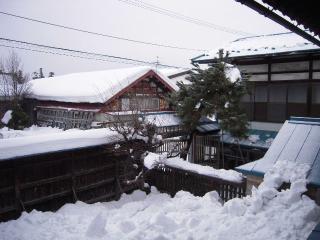 2012_0123_071707AA.jpg