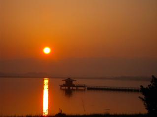 _20080911_055149.jpg