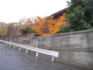 _20091111_133304.jpg