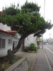 _20100630_124934.jpg