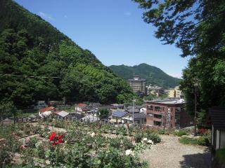 _20110630_102413.jpg