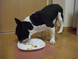 12-25ふるあし