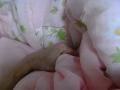 futon045.jpg