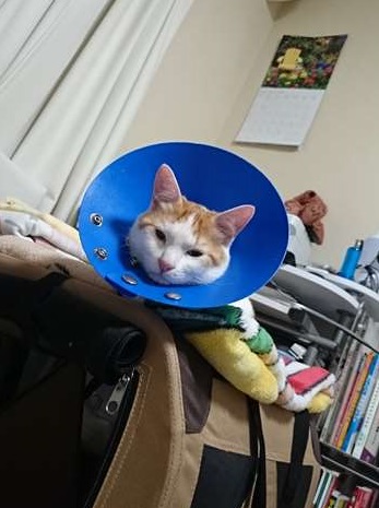 DSC_0329_RA.jpg
