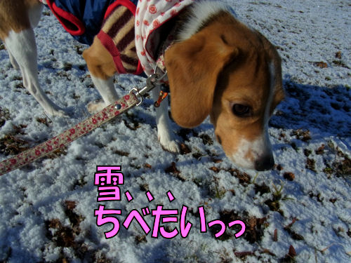 2013012704.jpg
