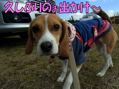 2013021002.jpg