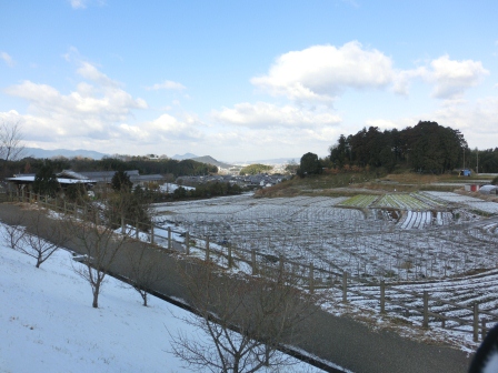 25年1月28日雪
