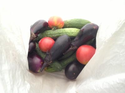 Fukura-2_20130717.jpg