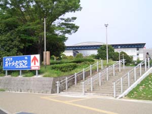 CIMG2361.jpg
