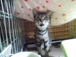 ちーちゃん