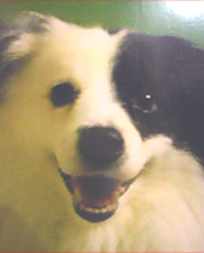 2011071403580000.jpg