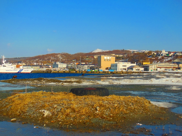 DSCN1990.jpg