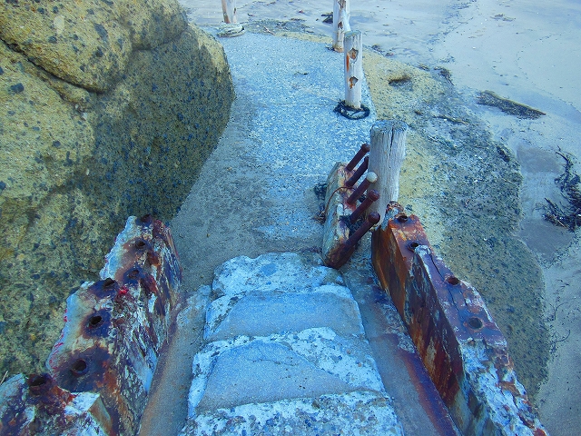 DSCN1997.jpg