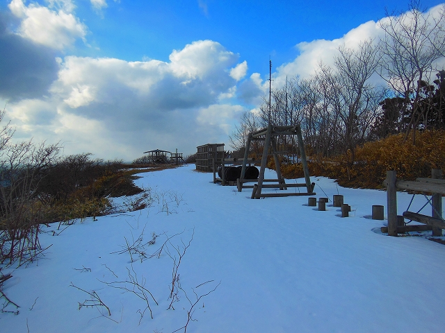 DSCN2029.jpg