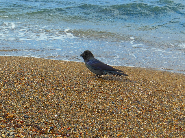 DSCN2083.jpg