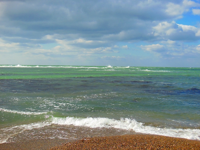 DSCN2085.jpg