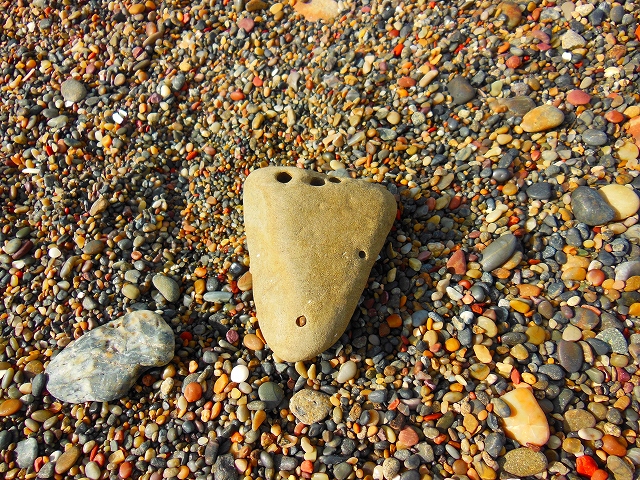 DSCN2088.jpg