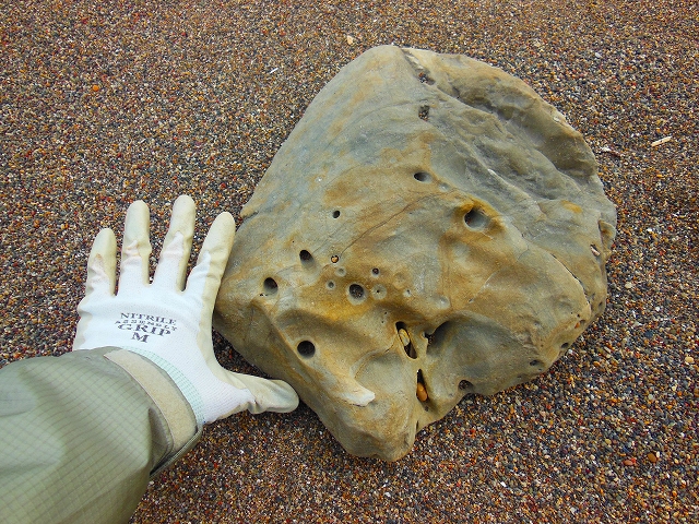 DSCN2091.jpg