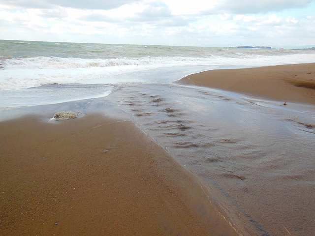 DSCN2096.jpg