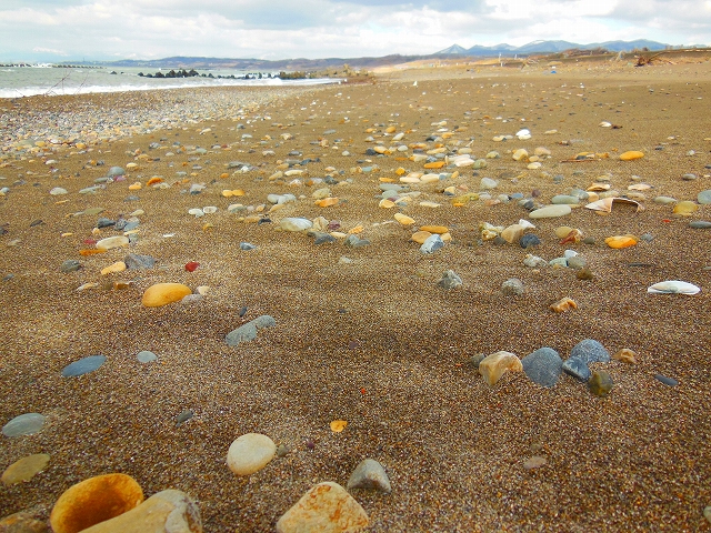 DSCN2110.jpg