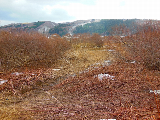 DSCN2116.jpg