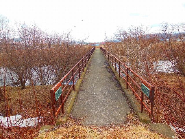 DSCN2119.jpg