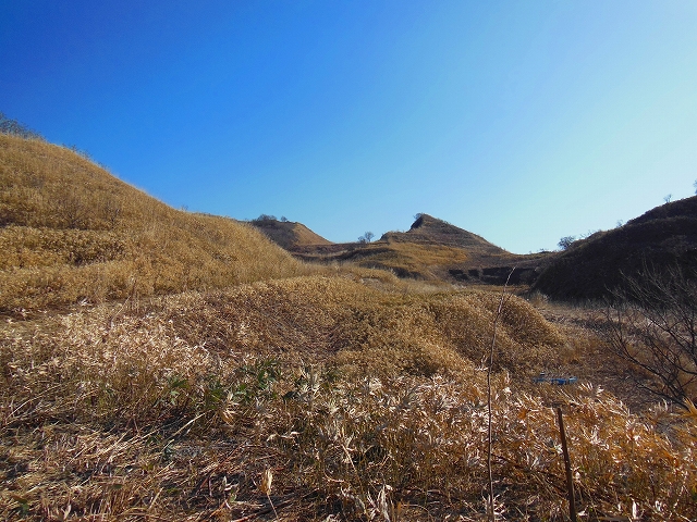 DSCN2138.jpg