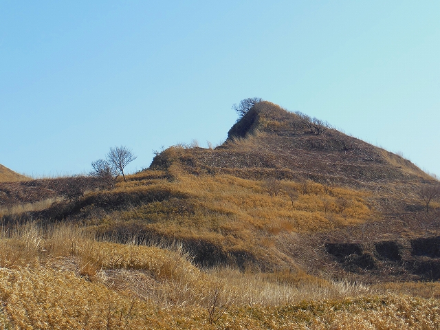 DSCN2139.jpg